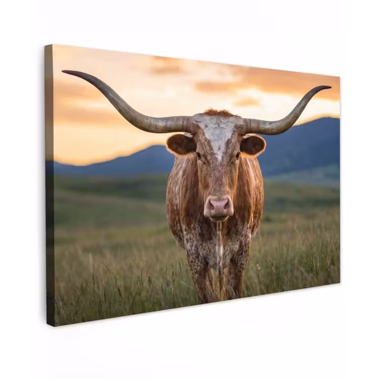 Canvas schilderij - Longhorn - Landschap - Zonsondergang — 1