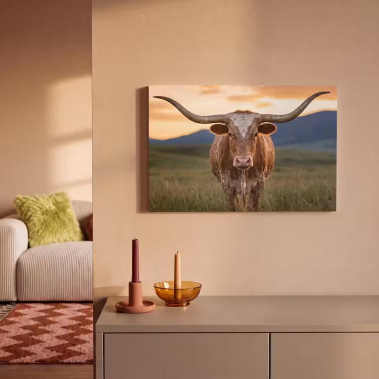 Canvas schilderij - Longhorn - Landschap - Zonsondergang — 2