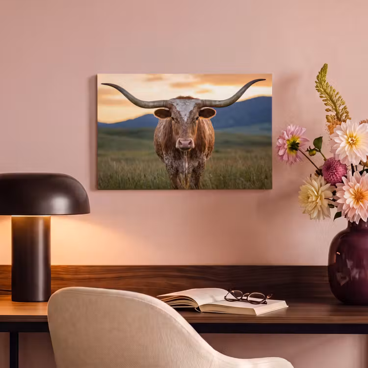 Canvas schilderij - Longhorn - Landschap - Zonsondergang — 4
