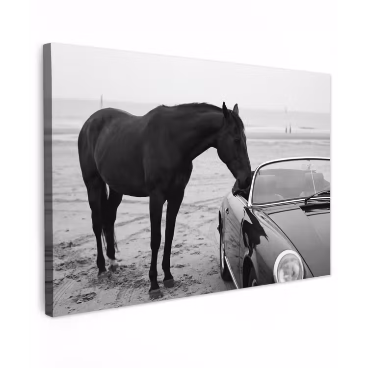 Canvas schilderij - Paard - Auto - Zwart - Wit — 1