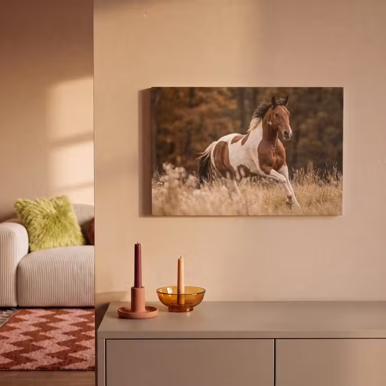 Canvas schilderij - Paard - Bruin - Gras — 2