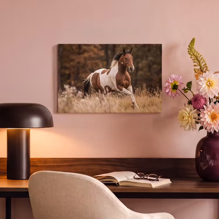 Canvas schilderij - Paard - Bruin - Gras — 4