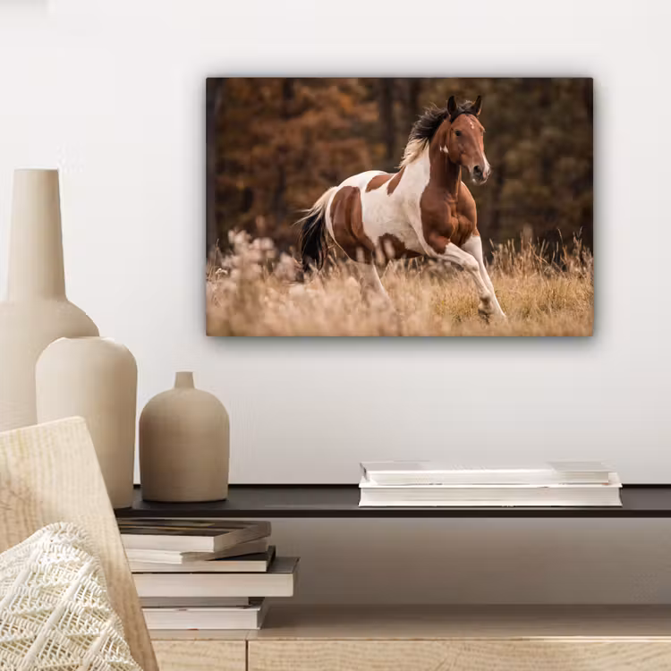 Canvas schilderij - Paard - Bruin - Gras — 5