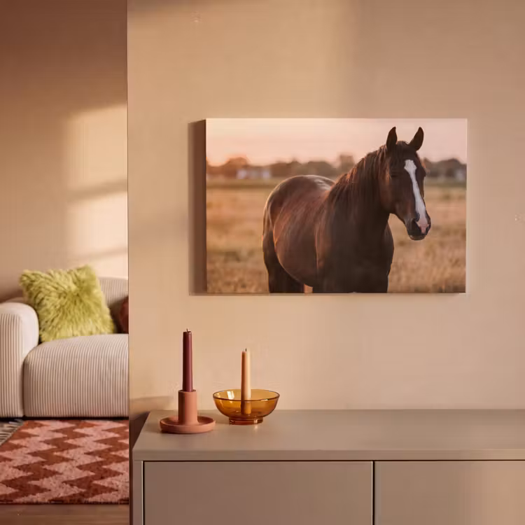 Canvas schilderij - Paard - Zonsondergang - Bruin — 2