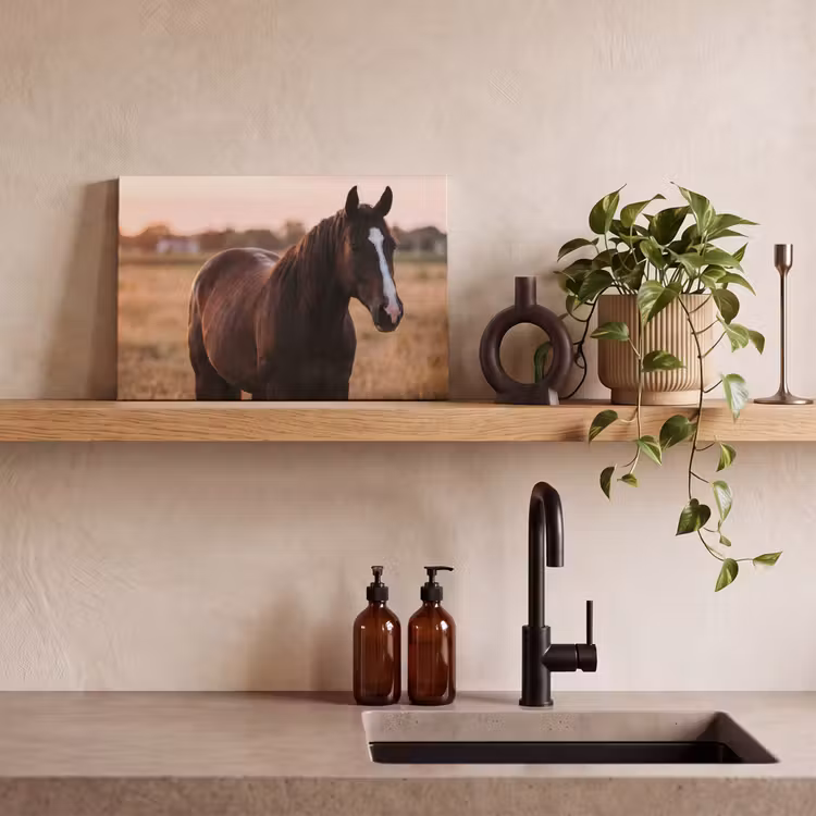 Canvas schilderij - Paard - Zonsondergang - Bruin — 3
