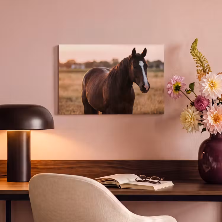 Canvas schilderij - Paard - Zonsondergang - Bruin — 4