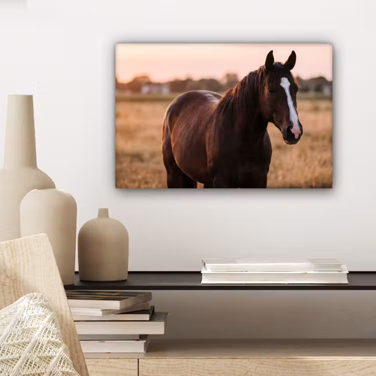 Canvas schilderij - Paard - Zonsondergang - Bruin — 5
