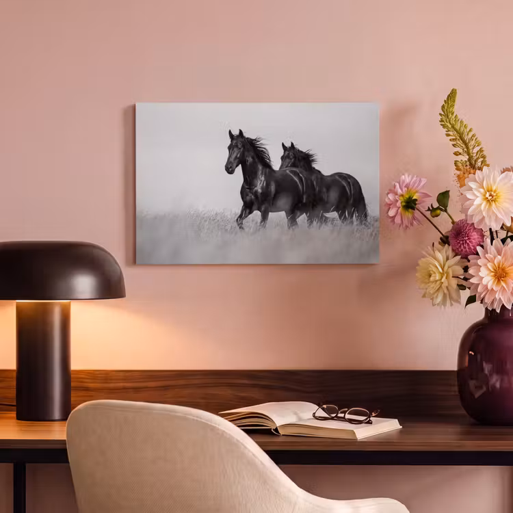 Canvas schilderij - Paarden - Gras - Zwart - Wit — 4