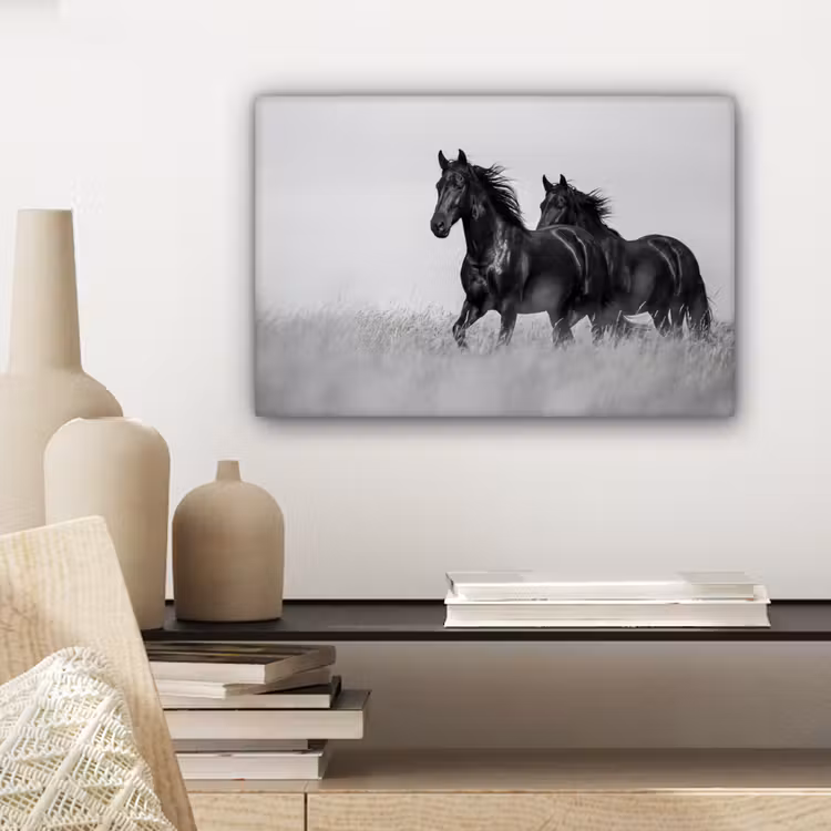 Canvas schilderij - Paarden - Gras - Zwart - Wit — 5