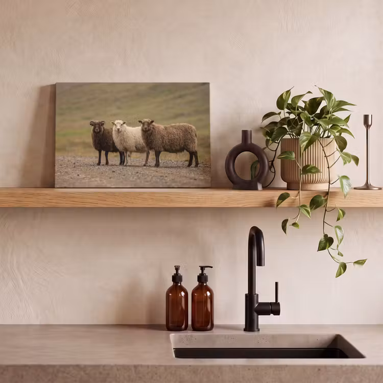 Canvas schilderij - Schapen - Bruin - Wit - Grindpad — 3