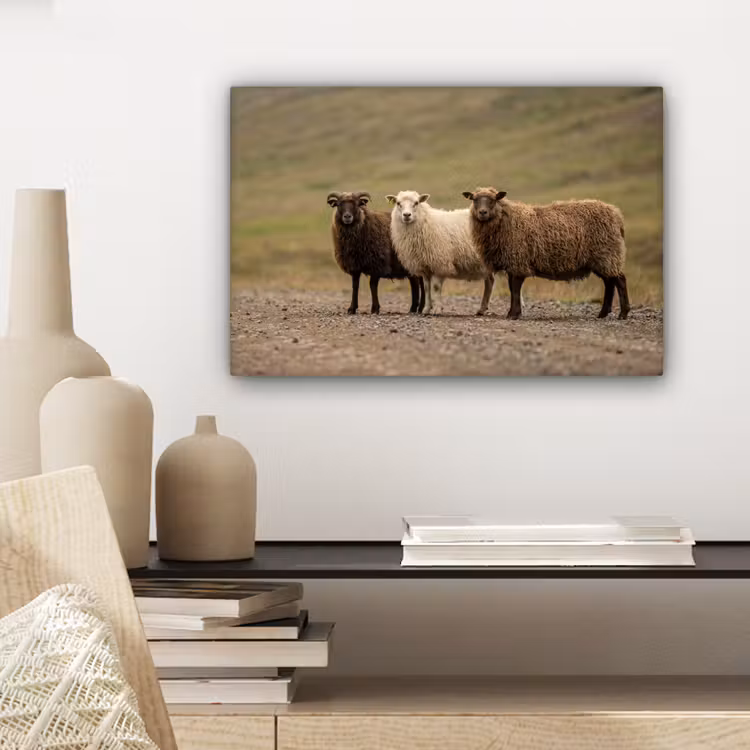 Canvas schilderij - Schapen - Bruin - Wit - Grindpad — 5