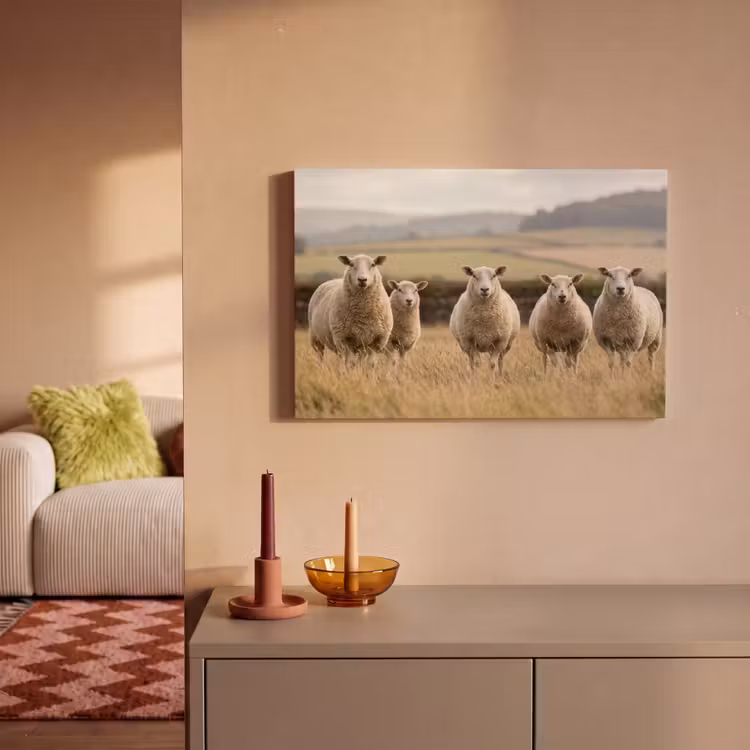 Canvas schilderij - Schapen - Weidenlandschap - Heuvels — 2