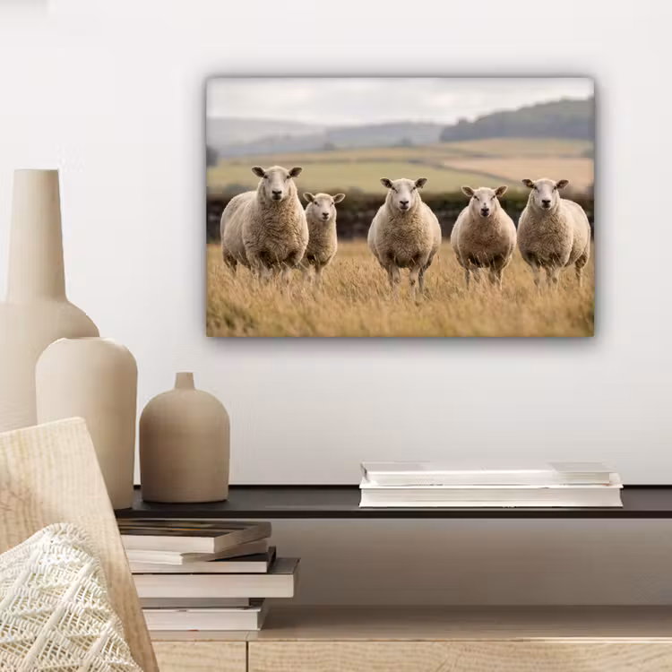 Canvas schilderij - Schapen - Weidenlandschap - Heuvels — 5
