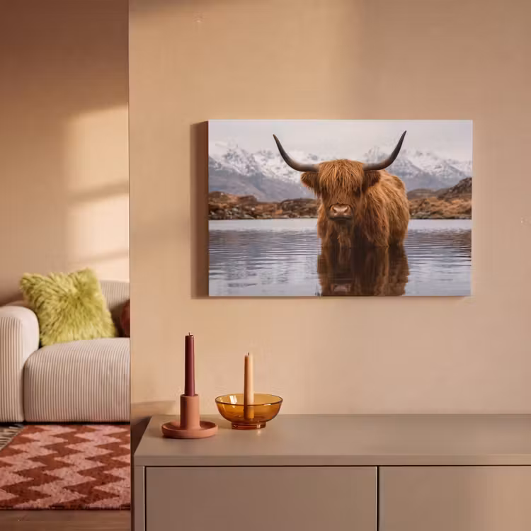 Canvas schilderij - Schotse hooglander - Bruin - Water — 2
