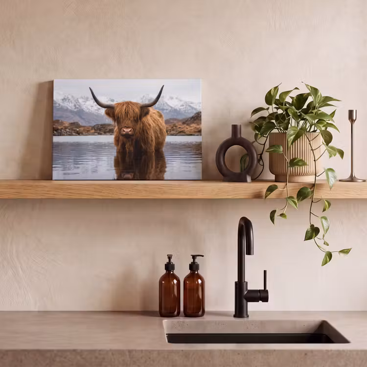 Canvas schilderij - Schotse hooglander - Bruin - Water — 3