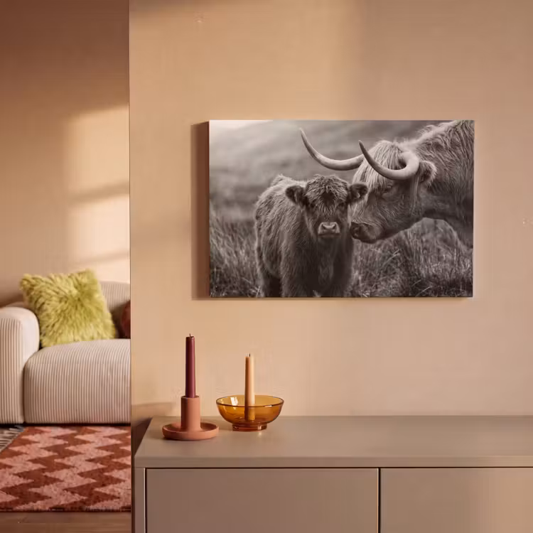 Canvas schilderij - Schotse hooglander - Kalf - Zwart - Wit — 2