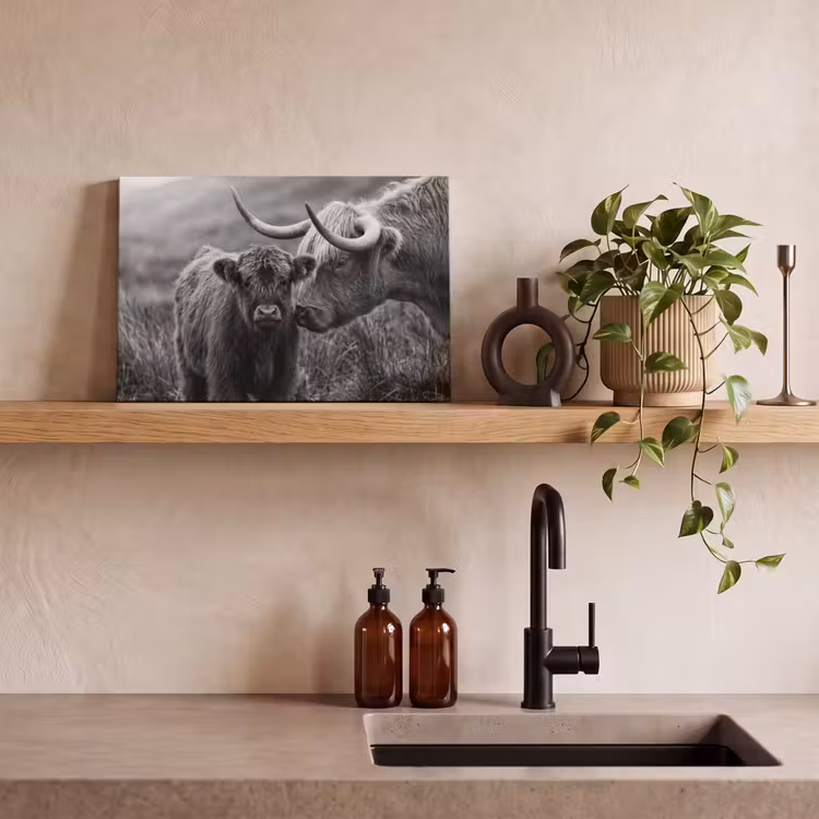 Canvas schilderij - Schotse hooglander - Kalf - Zwart - Wit — 3