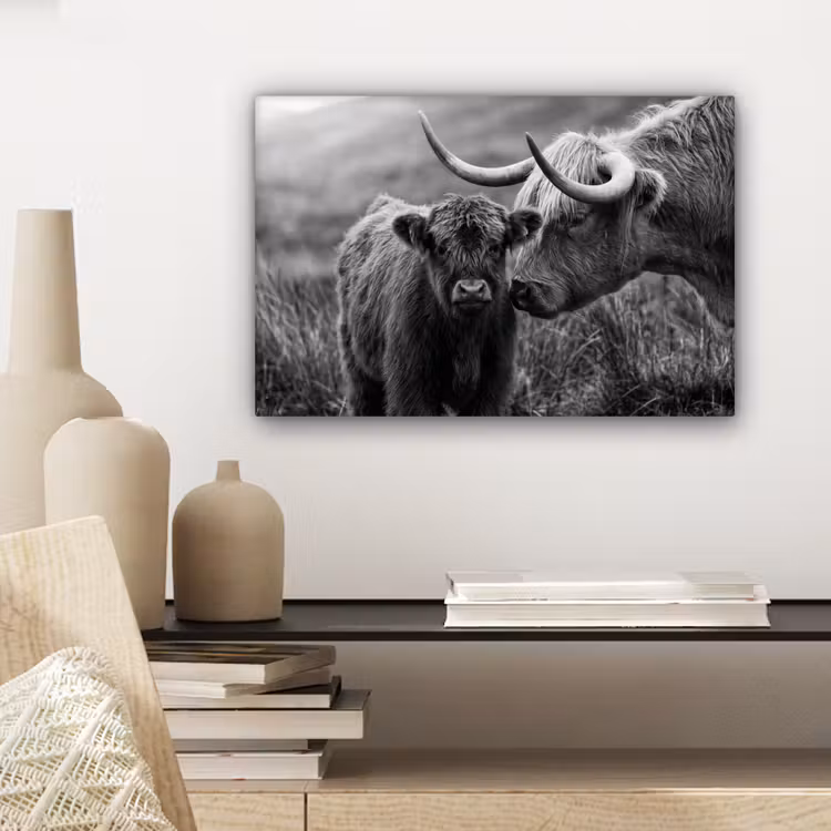 Canvas schilderij - Schotse hooglander - Kalf - Zwart - Wit — 5