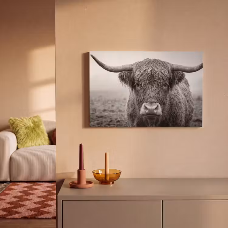 Canvas schilderij - Schotse hooglander - Zwart - Wit - Gras — 2