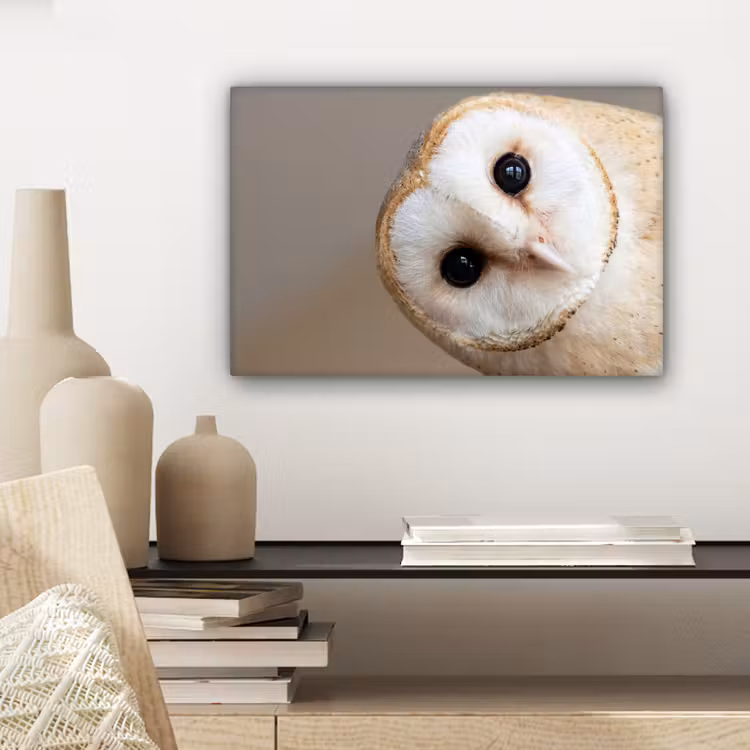 Canvas schilderij - Uil - Bruin - Wit — 5