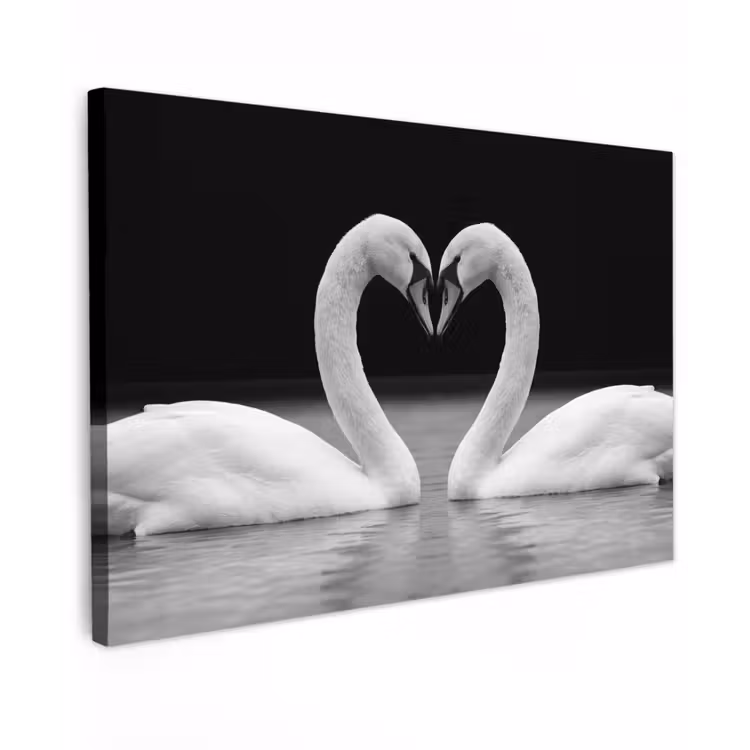 Canvas schilderij - Zwanen - Hart - Zwart - Wit — 1
