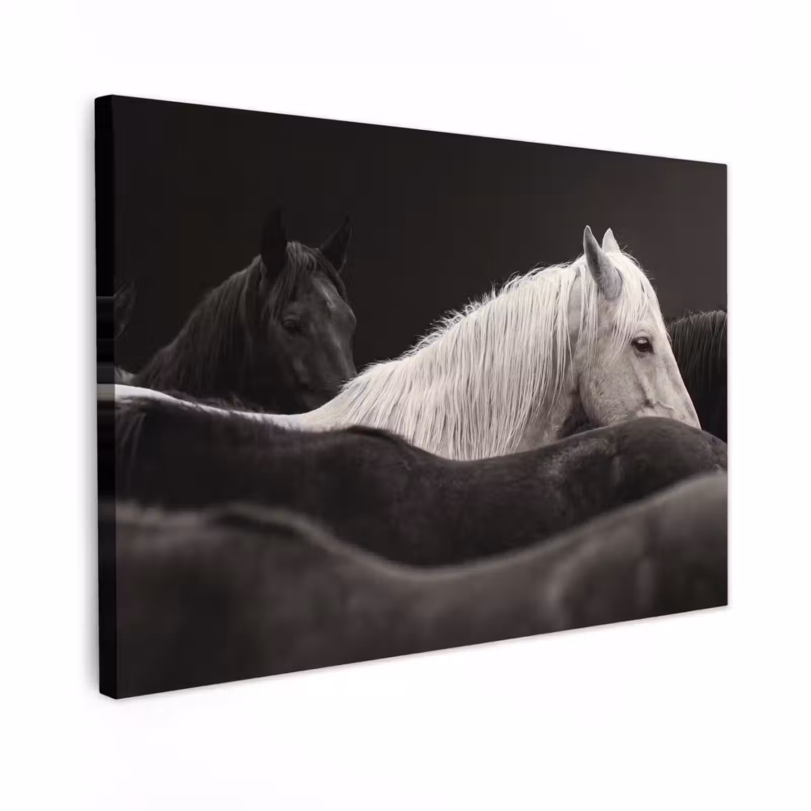 Canvas schilderij - Paarden - Zwart - Wit - Kudde — 1