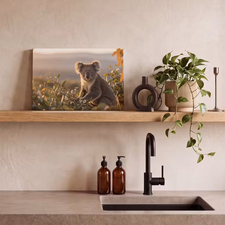 Canvas schilderij - Koala - Bladeren - Ochtendlicht — 3