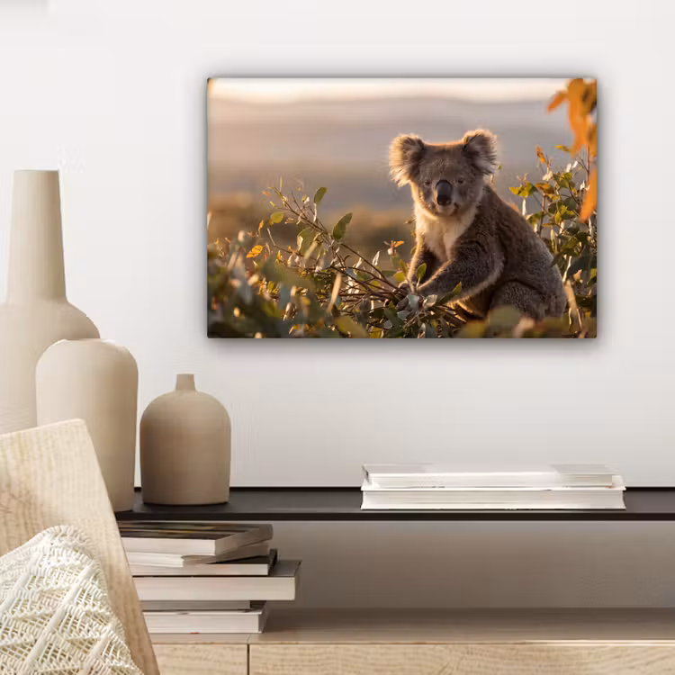 Canvas schilderij - Koala - Bladeren - Ochtendlicht — 5