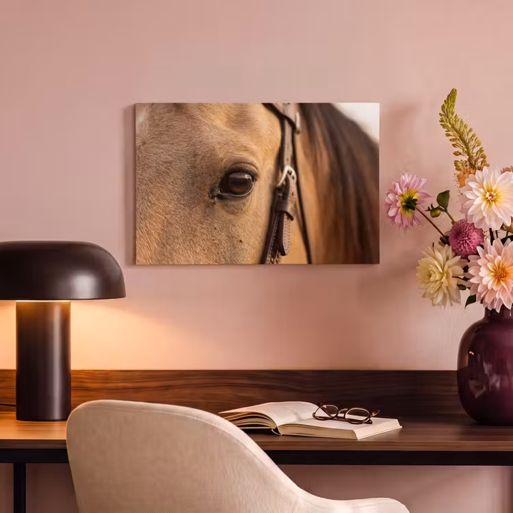Canvas schilderij - Paard - Oog - Bruin — 4