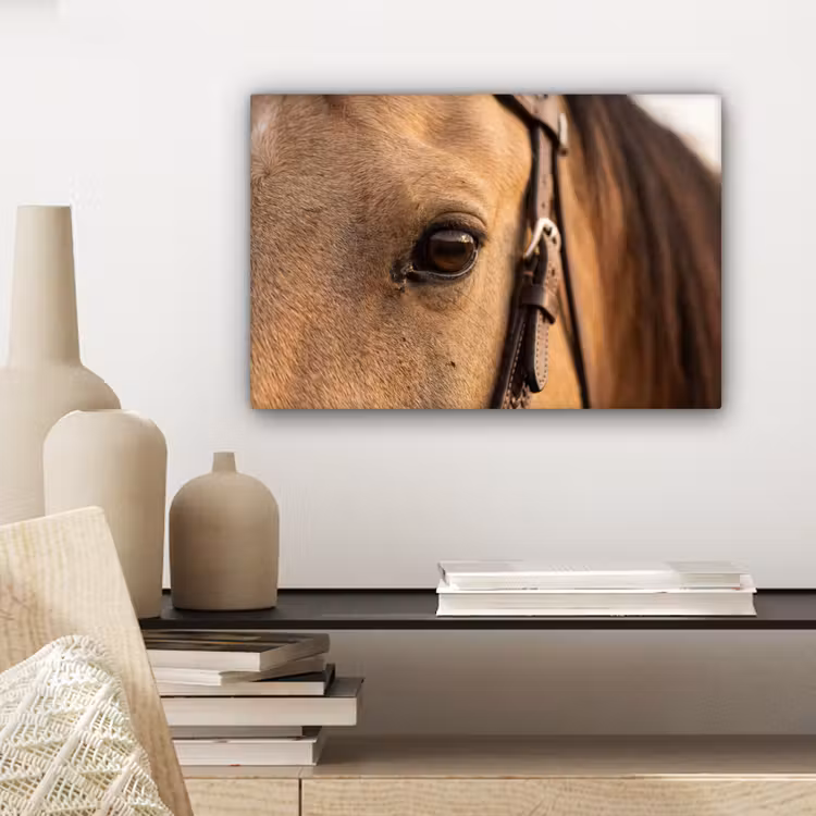 Canvas schilderij - Paard - Oog - Bruin — 5