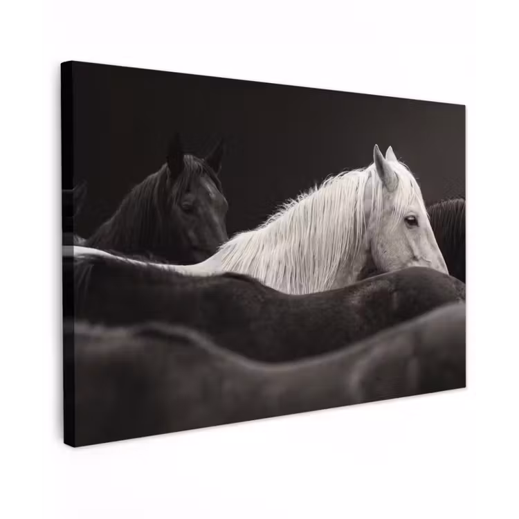 Canvas schilderij - Paarden - Zwart - Wit - Kudde — 1