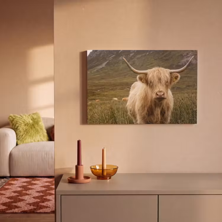 Canvas schilderij - Schotse hooglander - Bergen - Grasveld — 2