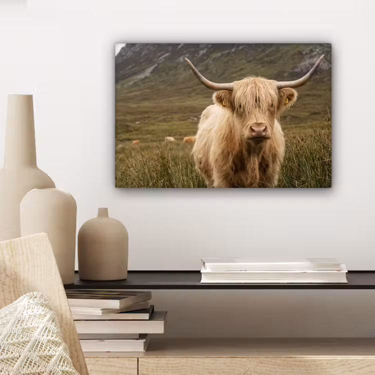 Canvas schilderij - Schotse hooglander - Bergen - Grasveld — 5