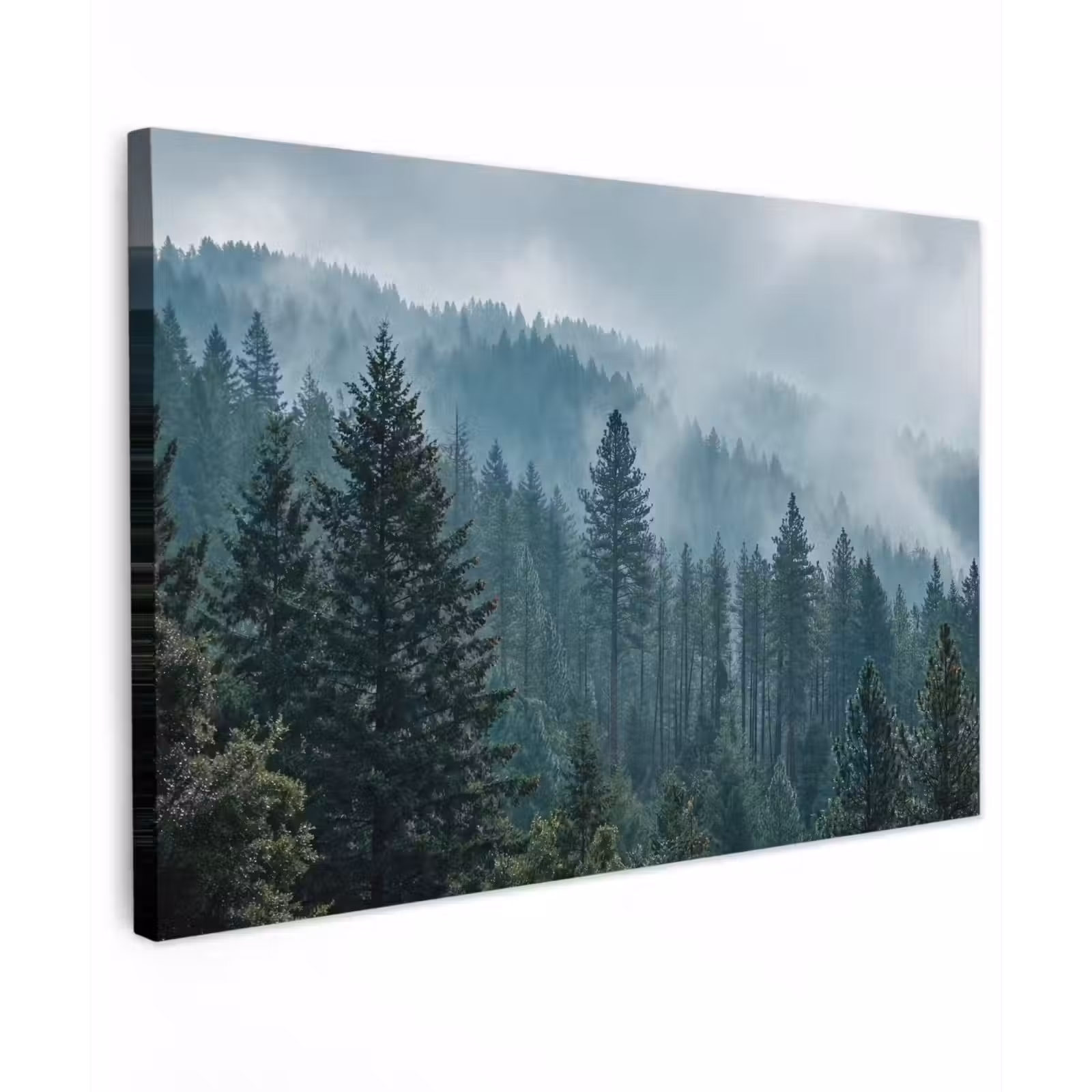 Canvas schilderij - Naaldwoud - Bergen - Mist — 1