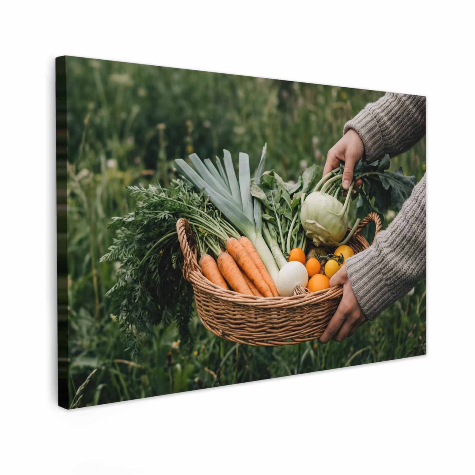 Canvas schilderij - Veld - Groenten - Biologisch - Oogst — 1