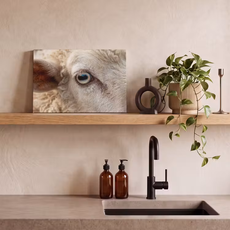 Canvas schilderij - Schaap - Oog - Wit — 3