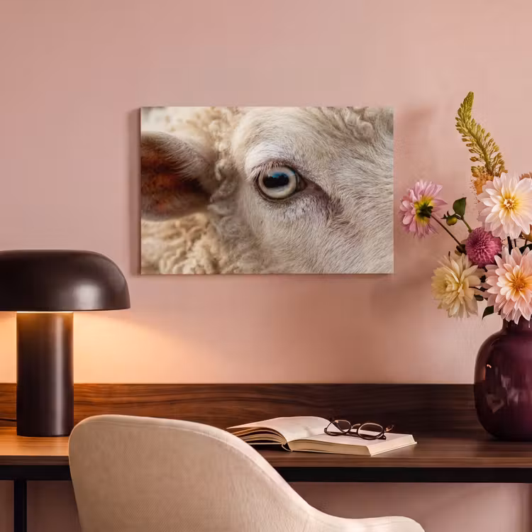 Canvas schilderij - Schaap - Oog - Wit — 4