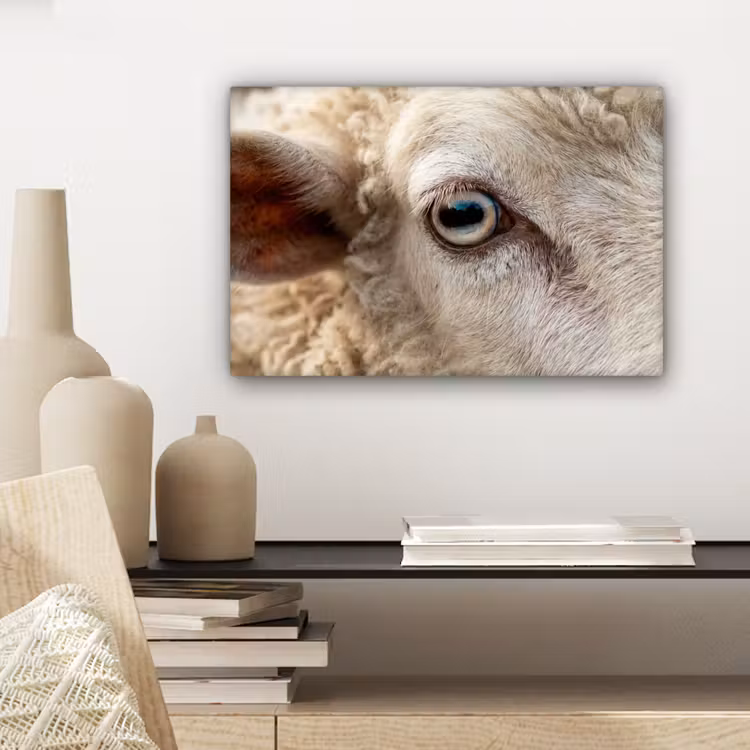 Canvas schilderij - Schaap - Oog - Wit — 5