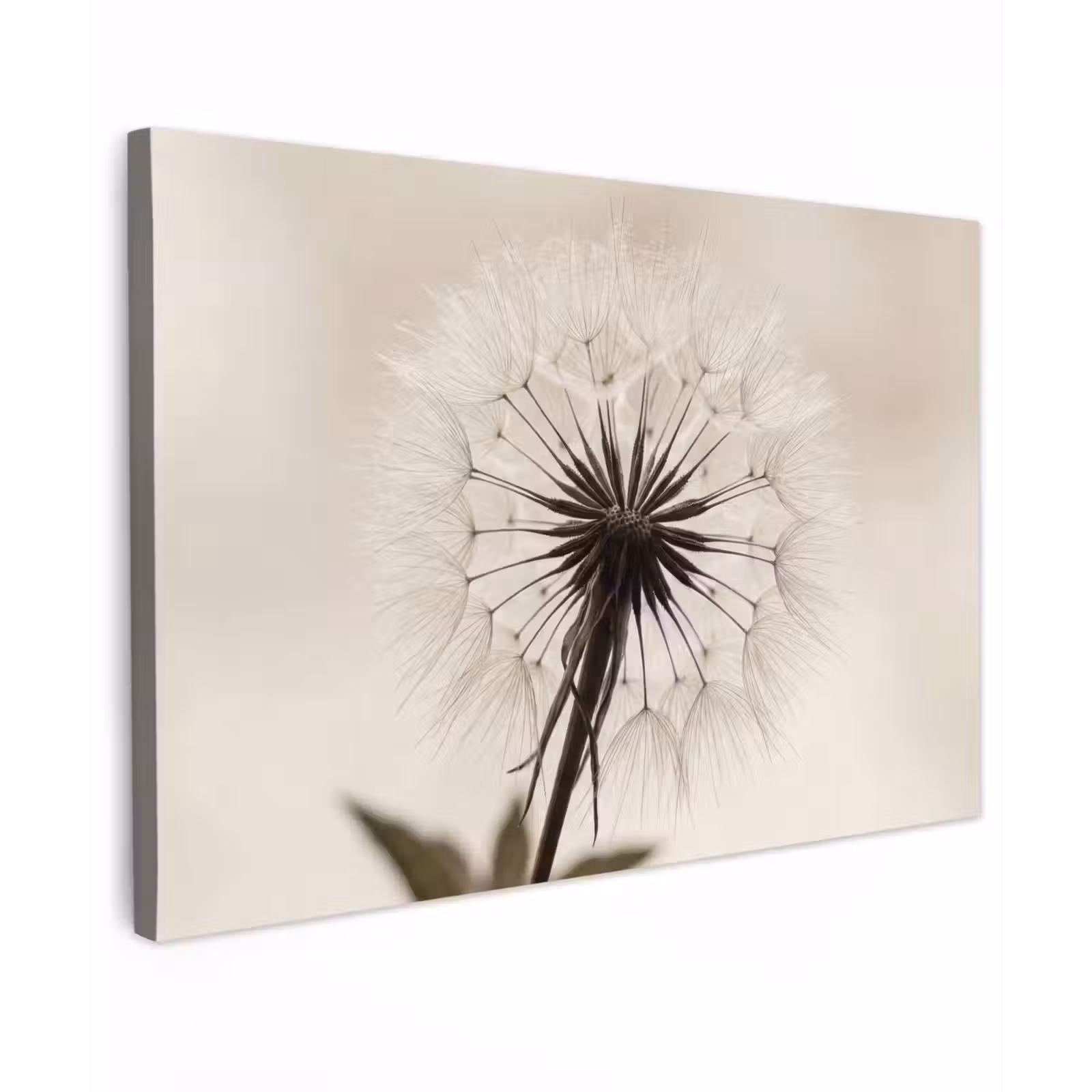 Canvas schilderij - Paardenbloem - Minimalistisch - Wit — 1