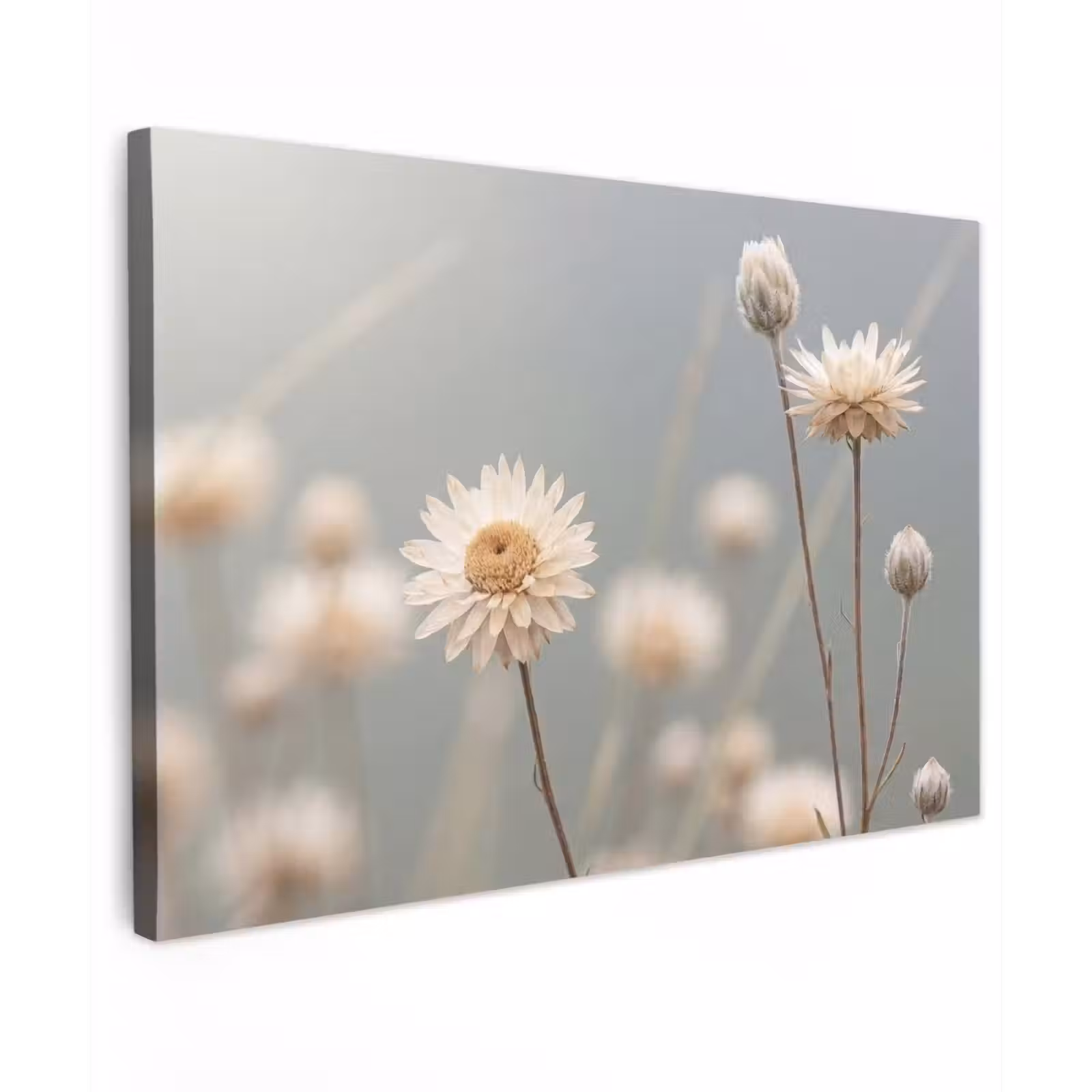 Canvas schilderij - Strobloemen - Wit - Daglicht — 1
