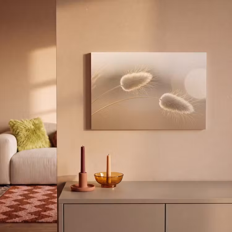 Canvas schilderij - Hazestaartgras - Graanharen - Zonlicht — 2
