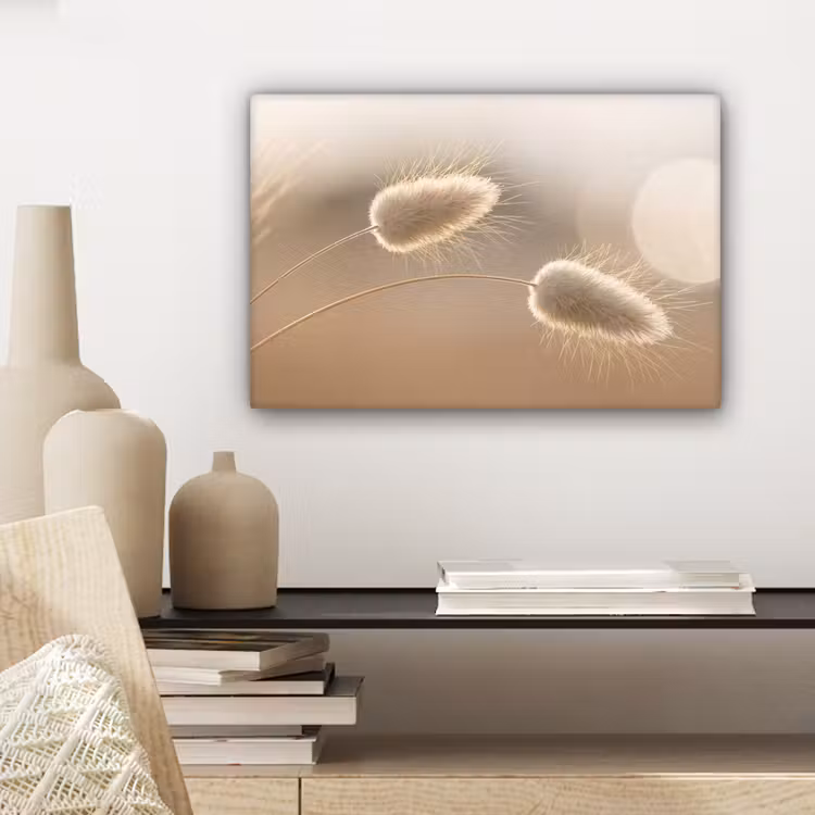 Canvas schilderij - Hazestaartgras - Graanharen - Zonlicht — 5