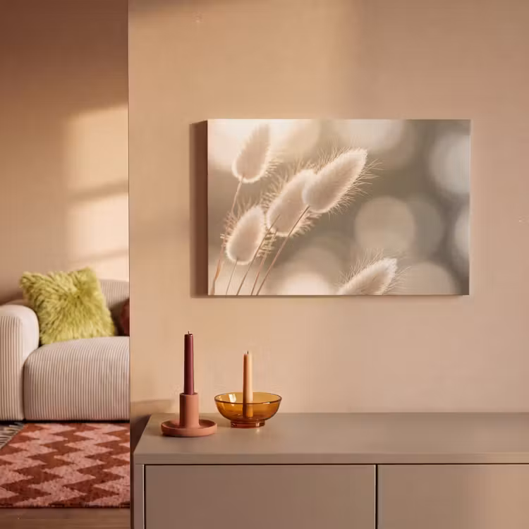 Canvas schilderij - Hazestaartgras - Wit - Zonlicht — 2