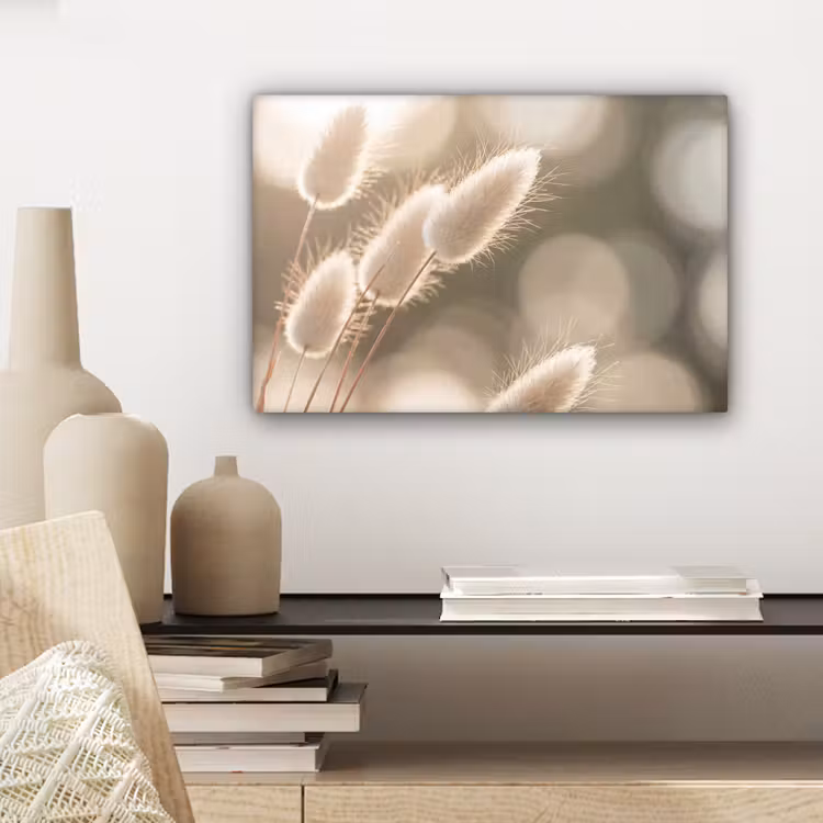 Canvas schilderij - Hazestaartgras - Wit - Zonlicht — 5