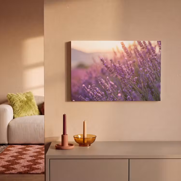Canvas schilderij - Lavendel - Paars - Zonlicht — 2