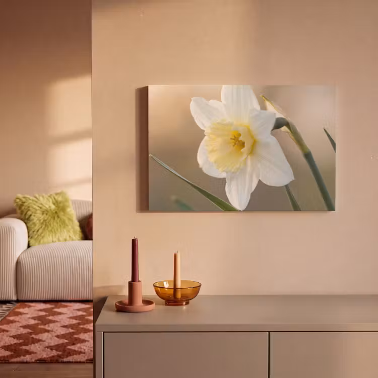 Canvas schilderij - Narcis - Bloem - Minimalistisch — 2