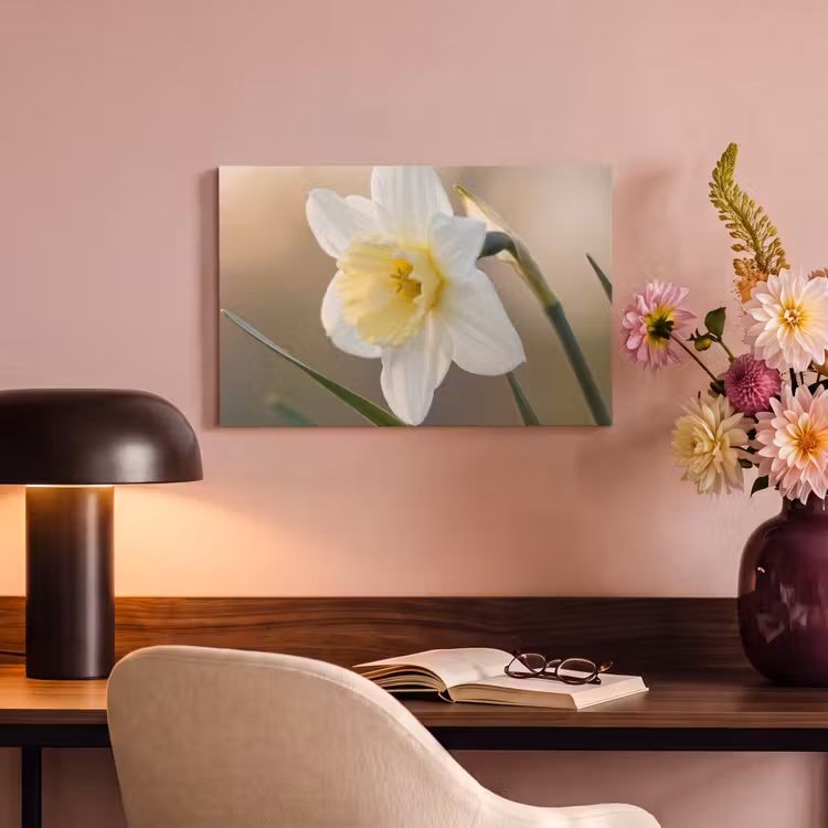Canvas schilderij - Narcis - Bloem - Minimalistisch — 4