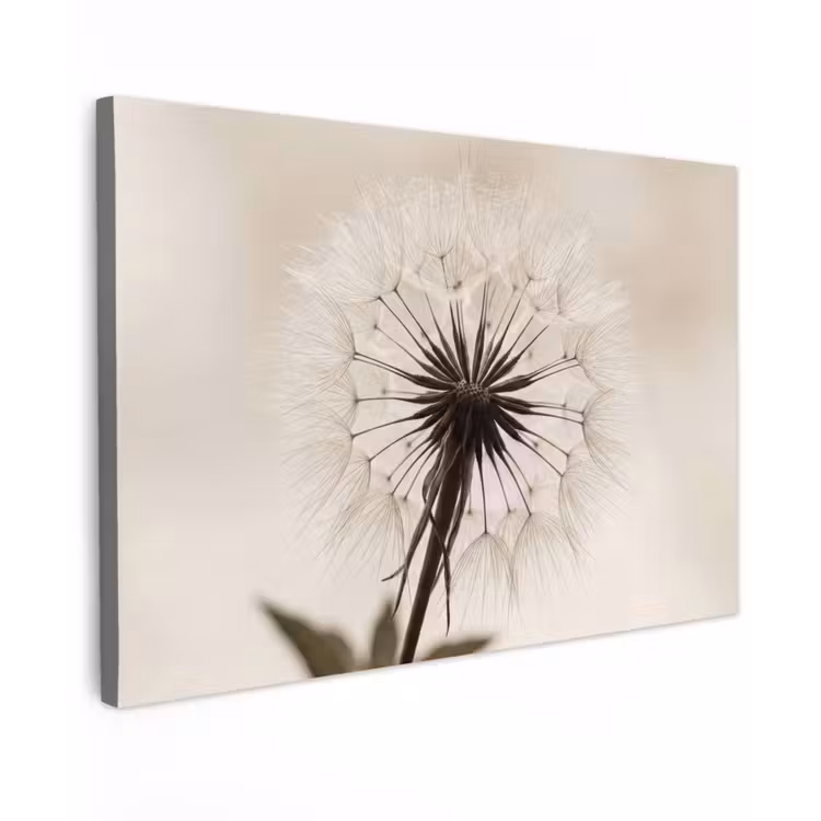 Canvas schilderij - Paardenbloem - Minimalistisch - Wit — 1