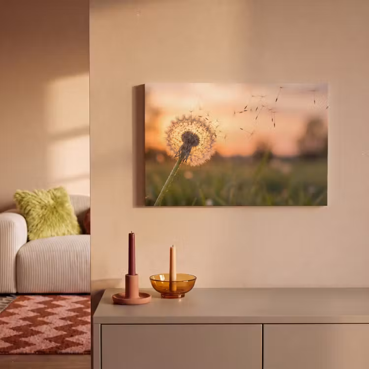 Canvas schilderij - Paardenbloem - Zonsondergang - Veld — 2