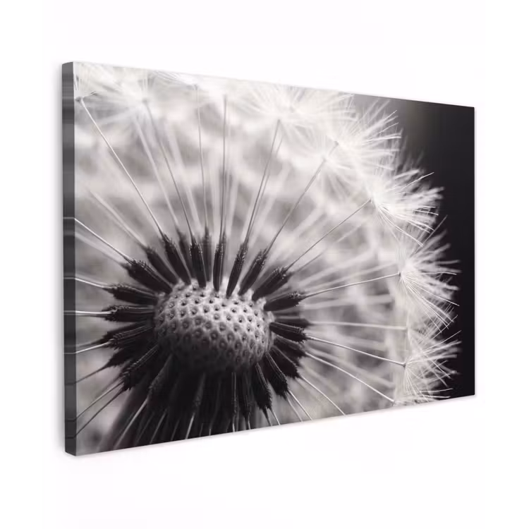Canvas schilderij - Paardenbloem - Zwart - Wit — 1